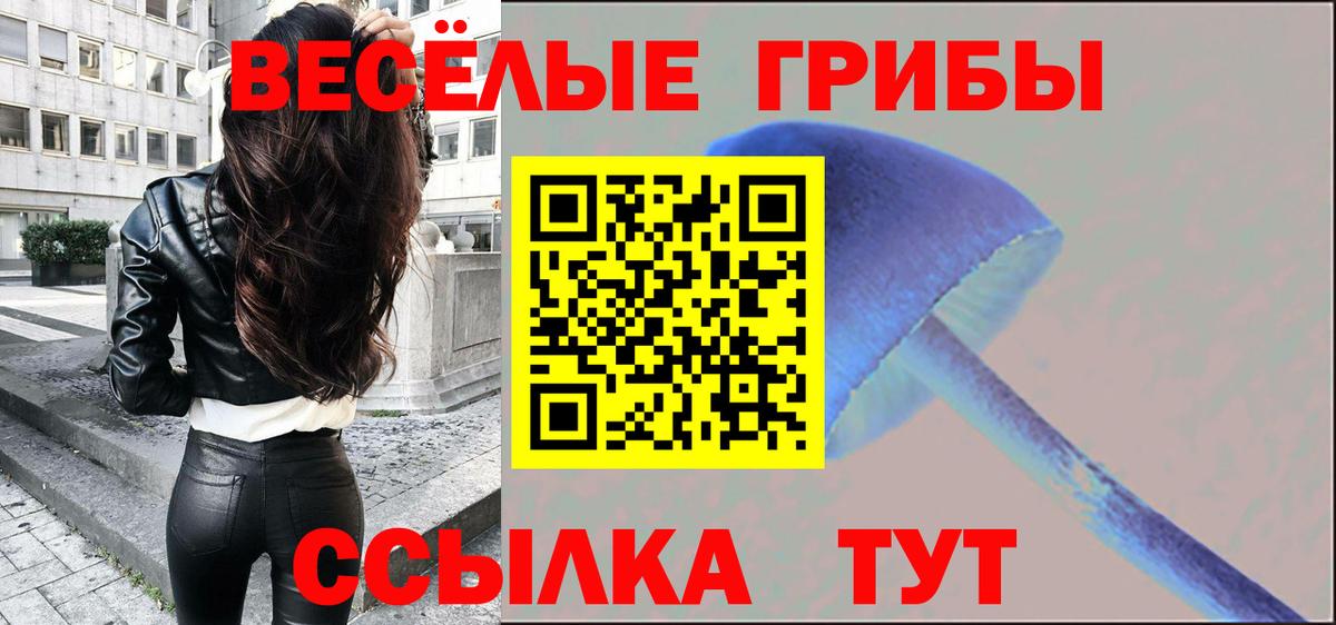 Псилоцибиновые грибы Psilocybe Орехово-Зуево